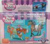 prancingparadeponies_front.jpg (117220 bytes)